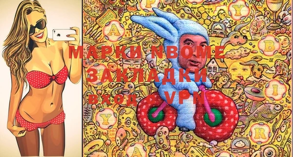 прущие грибы Каменка