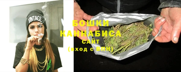 прущие грибы Каменка