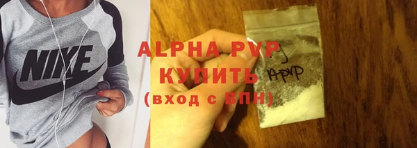 прущие грибы Каменка