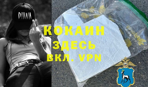 прущие грибы Каменка
