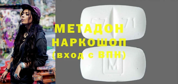 прущие грибы Каменка