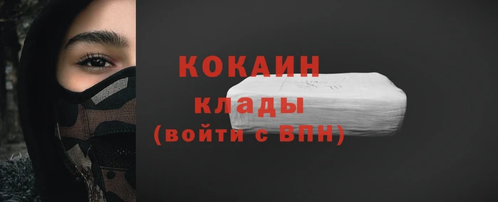 прущие грибы Каменка