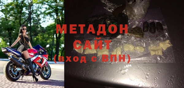 прущие грибы Каменка