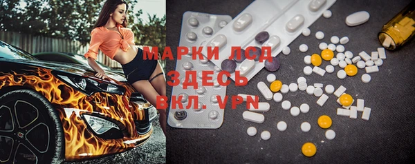 прущие грибы Каменка