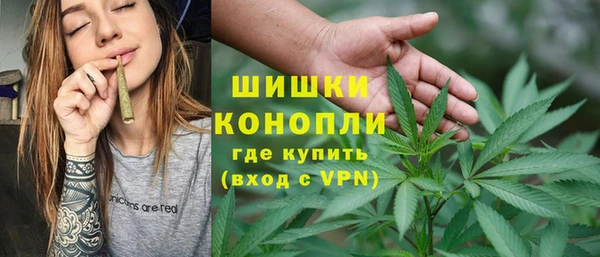 прущие грибы Каменка