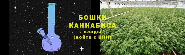 2c-b Каменногорск