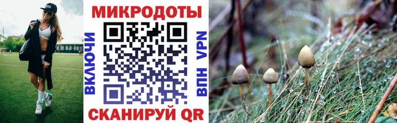 Галлюциногенные грибы Psilocybe  Купить где  Краснозаводск 